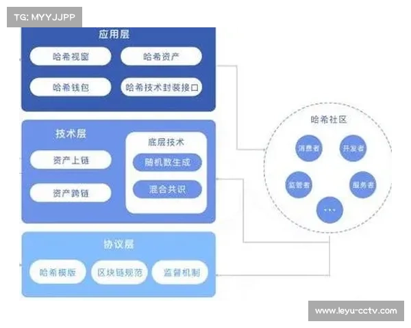 体育数字资产分类管理规范出台，提升利用效率。